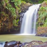 Grenada Waterfalls - Annandale